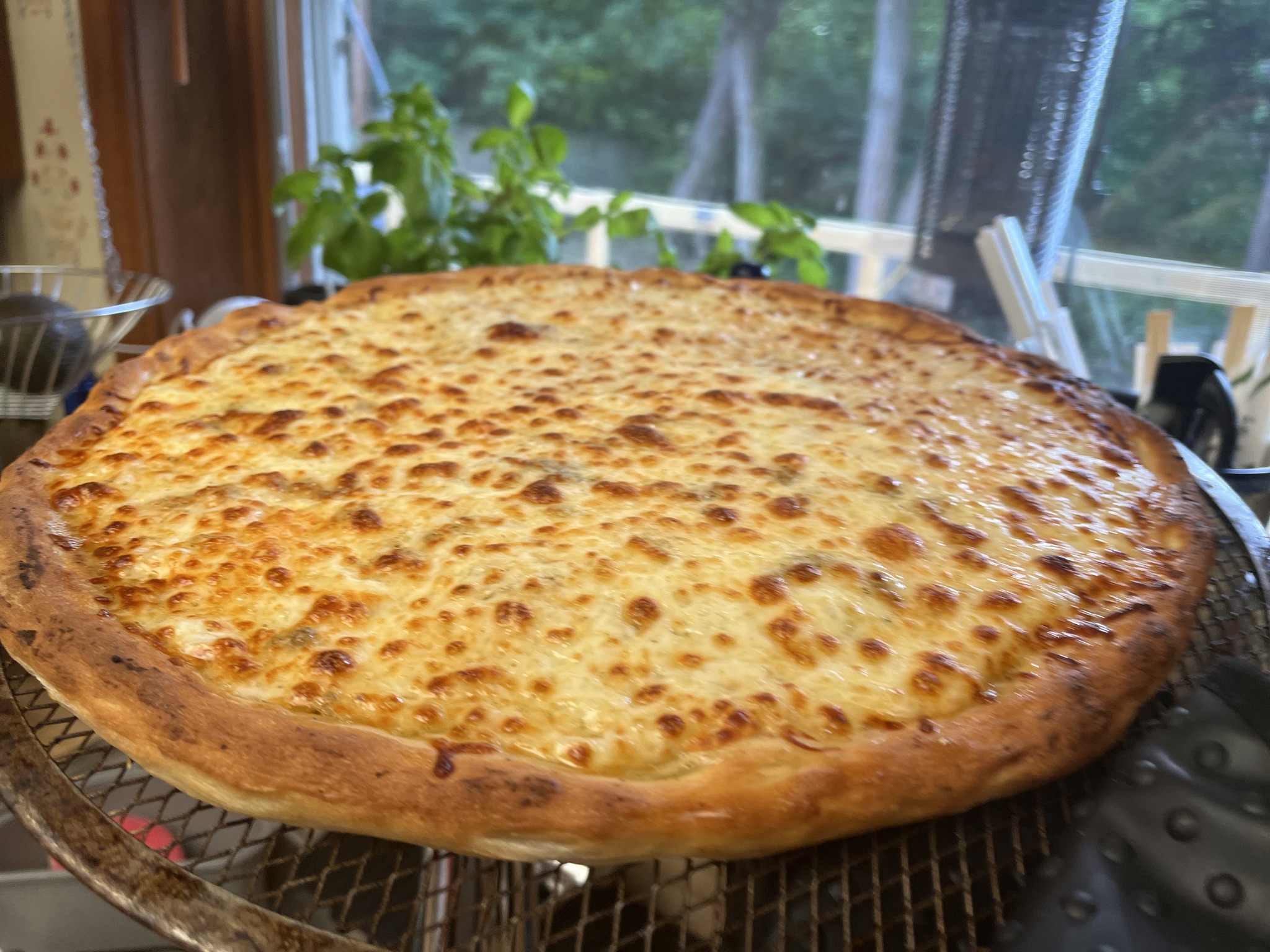 A more deeply browned cheese pizza held on a round pizza screen.