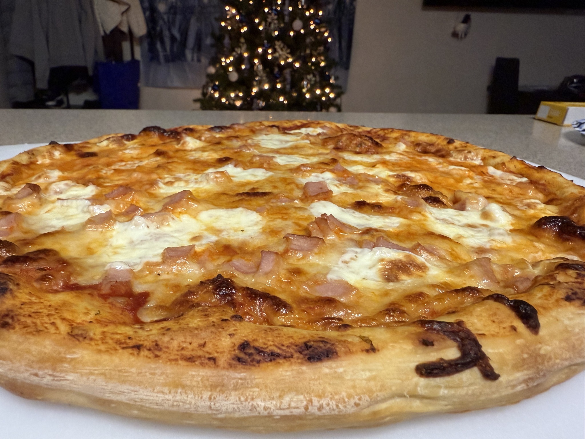 A low-angle view of the pizza's browned rim with a lit Christmas tree behind it.