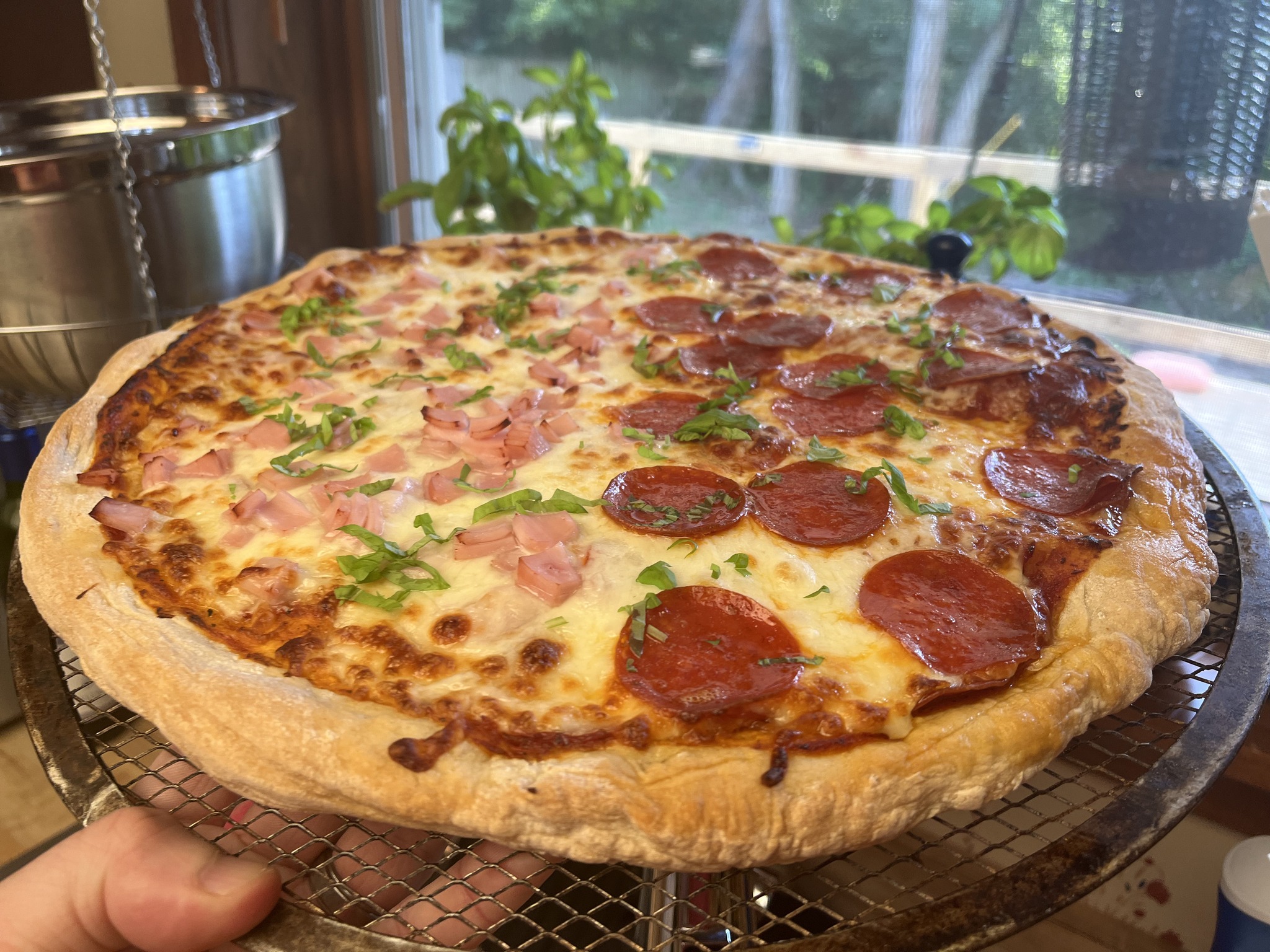 A low view of the half-and-half pizza with green garnish, showing the raised rim and melted cheese.